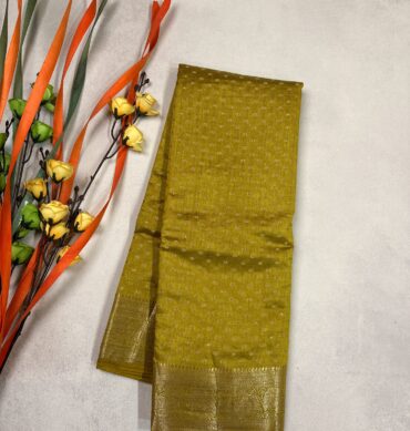 Elegant Semi Tussar Saree
