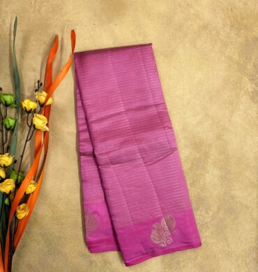Elegant Semi Tussar Saree